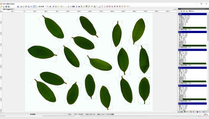 LA-S植物图像分析仪系统（叶面积+年轮分析组合版）